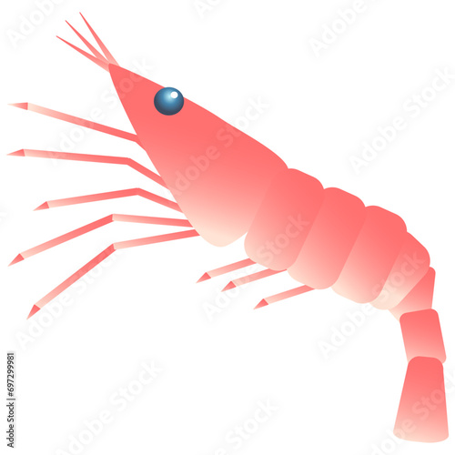 ボタンエビのベクターイラスト