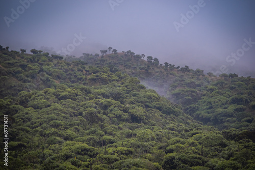 Forested hills of Karisimbi volcano, Rwanda photo