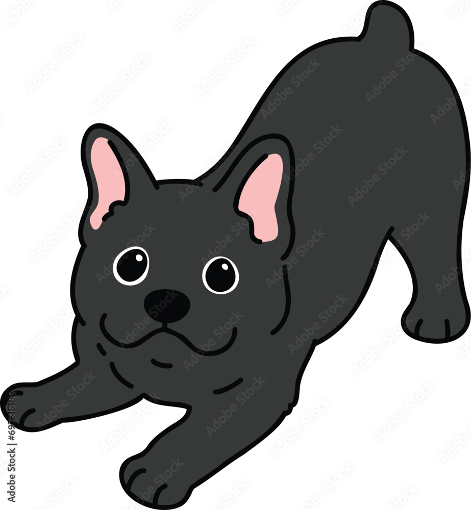 Simple and adorable illustration of black French Bulldog being playful