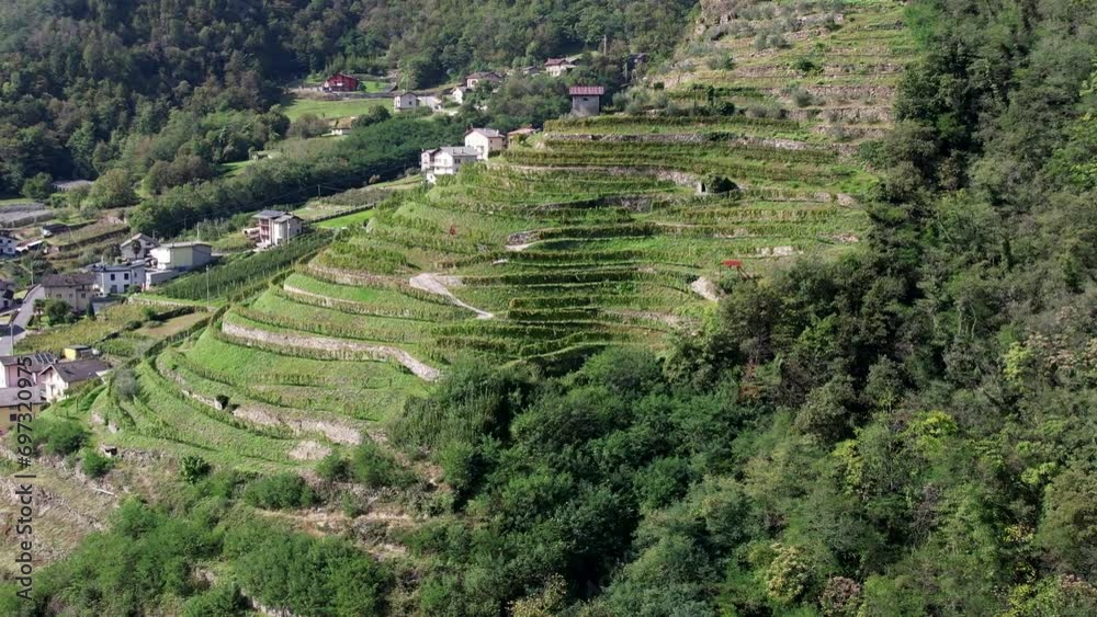 Aerial flyover above the Vineyards and orchards in Italy at the base of the Italian Alps in the Bergamo region Aerial flyover above the Vineyards and orchards in Italy at the base of the Italian Alps in the Bergamo region