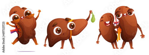 Set of cute characters of human organs in cartoon style. Couple of buds in love hugging each other. Happy jumping spleen. Liver with a funny surprised expression holding a gallbladder in his hand.