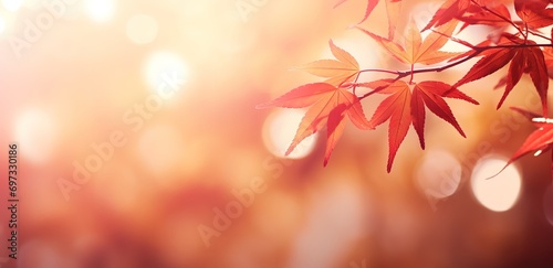 photo of autumn leaves with bokeh light behind it. generative AI