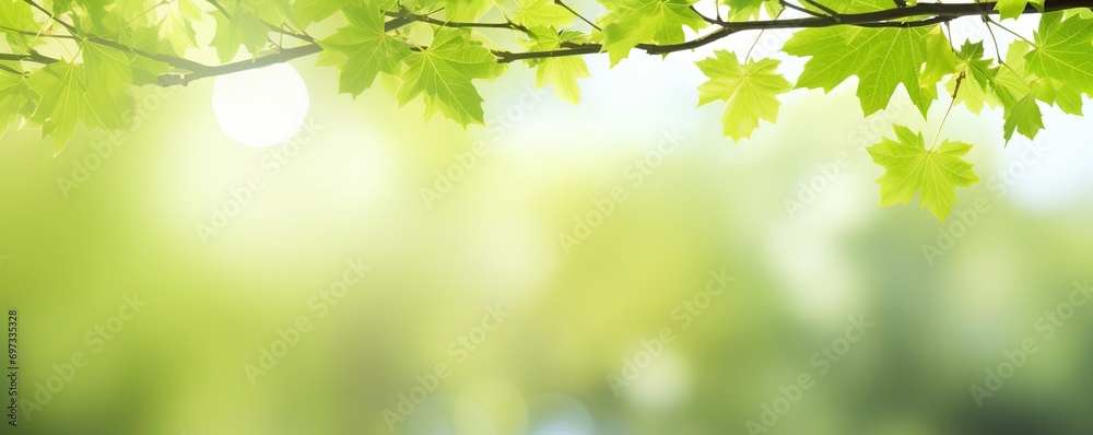 greenery scenery under green leaves branch tree shade with bright light, green park outdoor background backdrop wallpaper, Generative Ai greenery scenery under green leaves branch tree shade with bright light, green park outdoor background backdrop wallpaper, Generative Ai