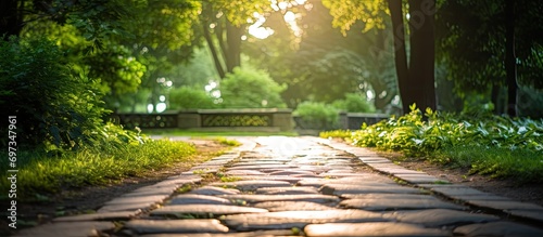 Stone pathway with blurred background and burst light in a green park. photo