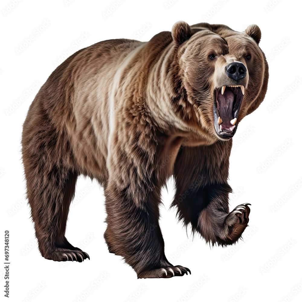 Ferocious grizzly bear On a clean isolated on transparent background - obrazy, fototapety, plakaty 