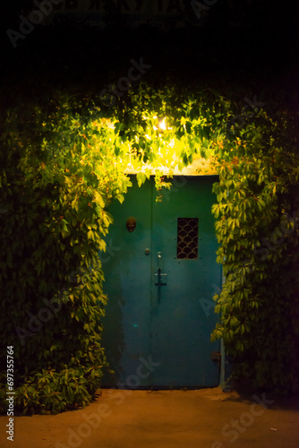 door surrounded by plants illuminated by a lantern at night