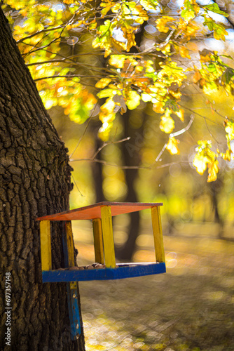 feeder in the park for squirrels and birds