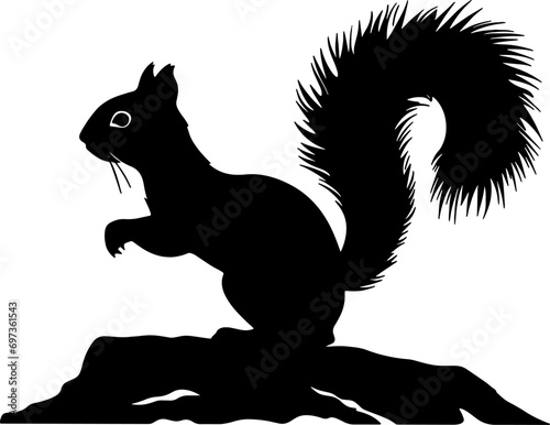 squirrel on a branch silhouette.