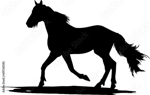 horse silhouette isolated on white.