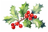 Watercolor Illustration Of Holly Berries Symbolic Of Christmas