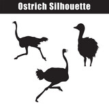 Elevate your designs with captivating vector silhouettes of Ostrich