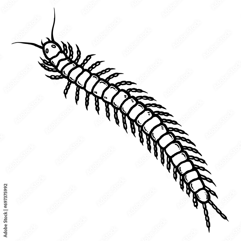 svg poison bugs doodle element set svg poison bugs doodle element set