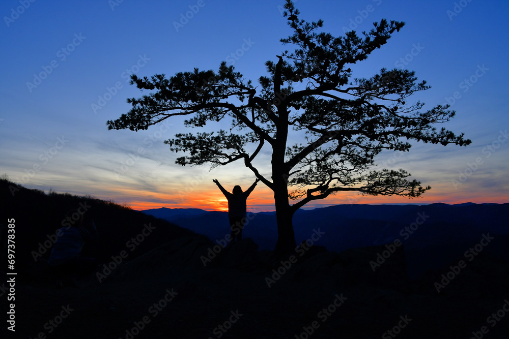 A lone tree at sunset at Ravens Roost overlook on Skyline Drive in Blue Ridge Mountains with views of Shenandoah Valley of Virginia