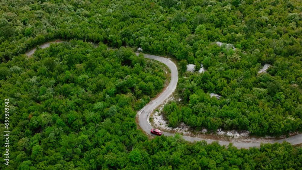 Aerial Shot of Car Driving on Road in Pine Tree Forest. Scenic Landscape. Aerial Shot of Car Driving on Road in Pine Tree Forest. Scenic Landscape.