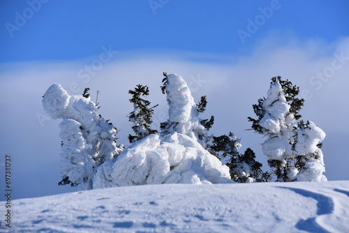 landscape  winter  snow  mountains  frost  white  cold  snowdrifts  search  trails  avalanche danger  Babia G  ra  Poland 