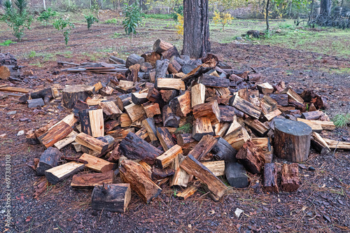 Chopped up tree stumps for firewood in the garden.