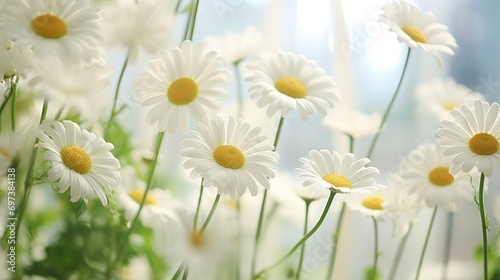  a close up of a bunch of daisies in a vase with the sun shining through the window behind them.