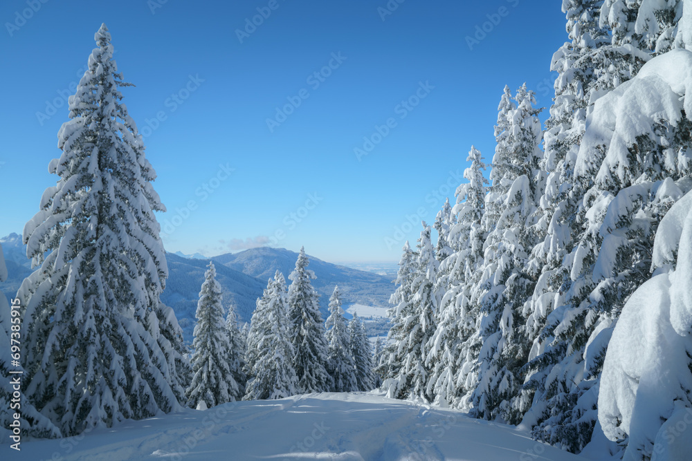 Winterlicher Wald bei Bad Kohlgrub in den Ammergauer Alpen