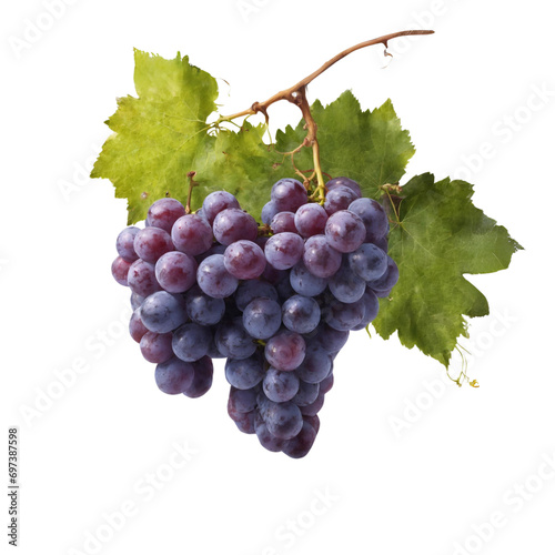 photo of bunch of grapes isolated on transparent background photo
