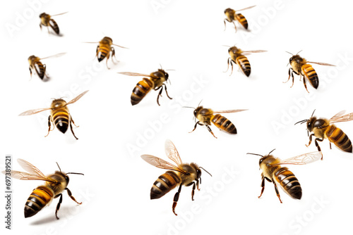 flying bees isolated on transparent background