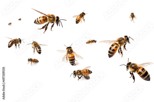 flying bees isolated on transparent background © dobok