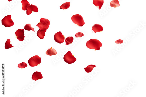 rose petals flying isolated on transparent background photo