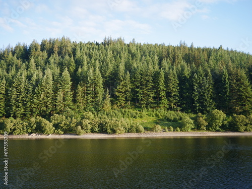 UK Forest Lake Skyline - Wales 