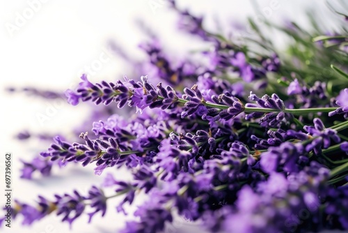 A close-up view of a bunch of purple flowers. This picture can be used for various floral themes and designs