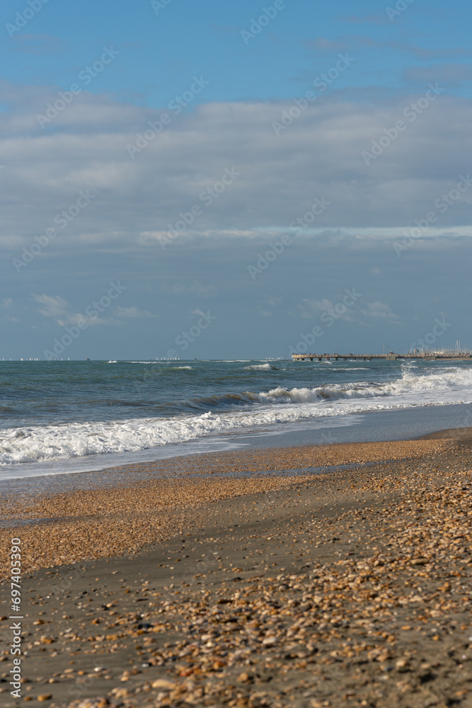 Seashell and sea waves on beach . High quality photo