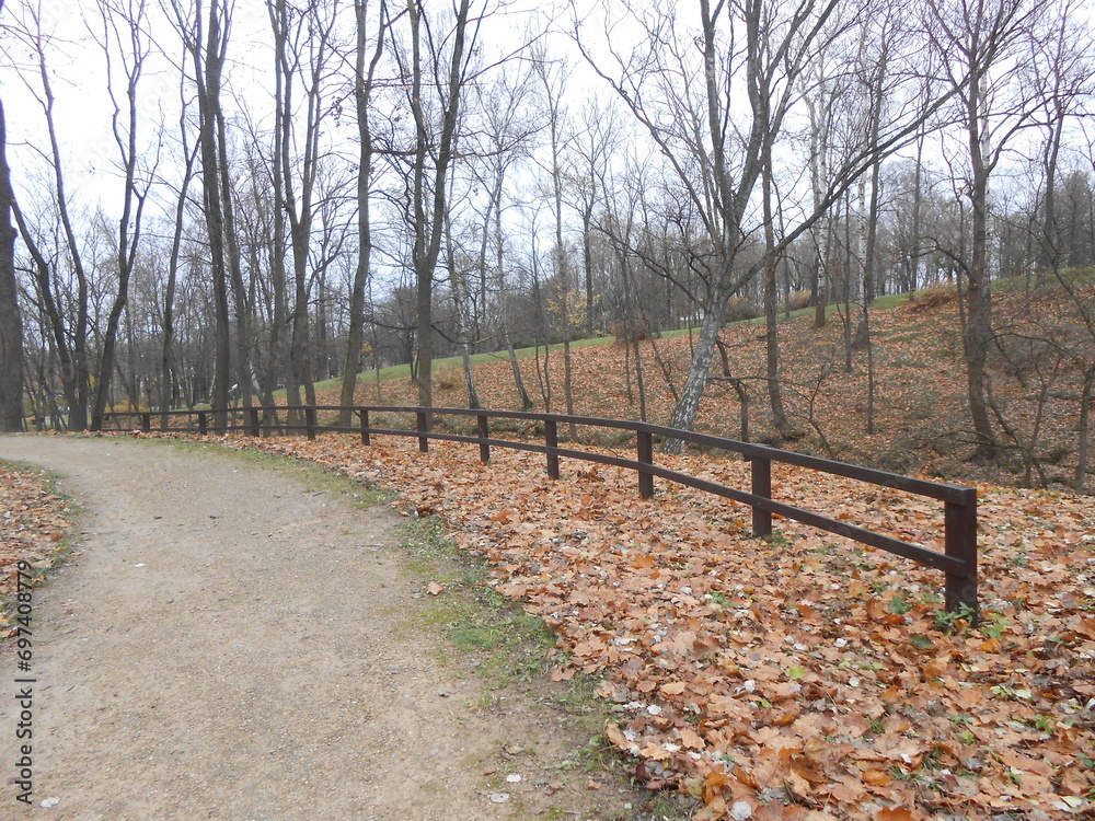 vintage wooden fence and path in autumn park