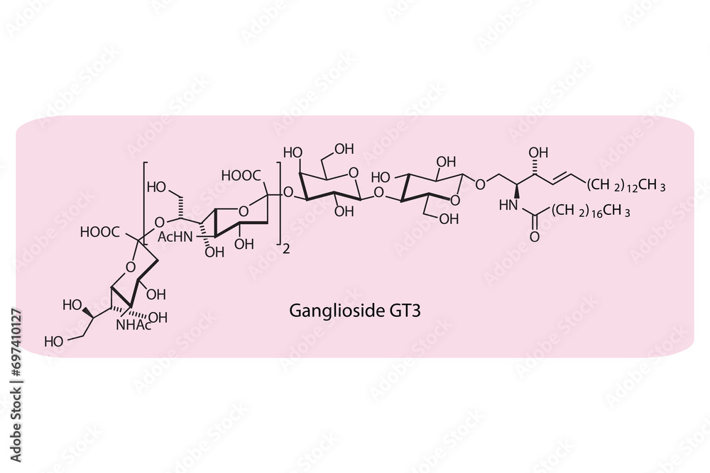 Molecular structure diagram of Ganglioside GT3 pink Scientific vector ...