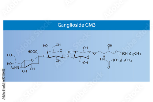 Molecular structure diagram of Ganglioside GM3 - monosialodihexosylganglioside blue Scientific vector illustration.