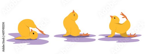 Cute Chicken Yoga Cartoon kit Vector Icons Illustration. Flat Cartoon Concept.