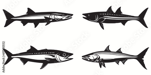 Barracuda silhouettes and icons. black flat color simple elegant white background Barracuda animal vector and illustration. photo