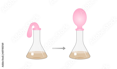Yeast Respiration Experiment. Yeast feeds on the sugar, producing carbon dioxide, gas slowly fills the balloon. Vector illustration.