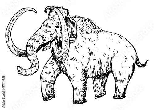 Mammoth - vector illustration of extinct animal