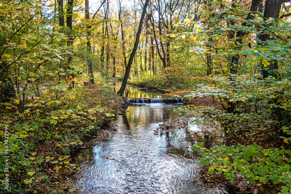 Golden autumn view in famous Munich relax place - Englischer Garten. Munich, Bavaria, Germany Golden autumn view in famous Munich relax place - Englischer Garten. Munich, Bavaria, Germany