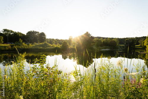 Peaceful Lake on a Summer Evening in the Midwest
