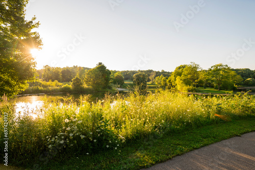 Peaceful Lake on a Summer Evening in the Midwest
