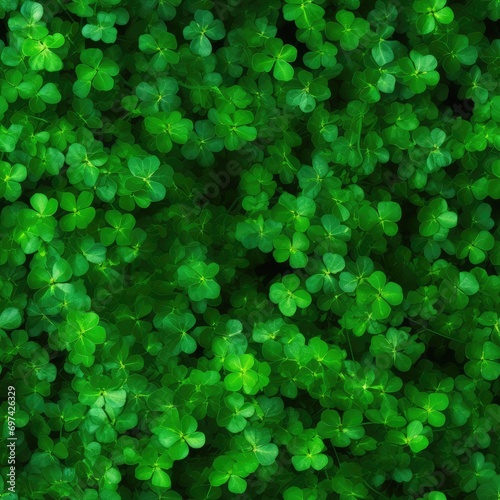 Green Lush Grass Create Beautiful Texture Background, Natural Meadow Clover Pattern