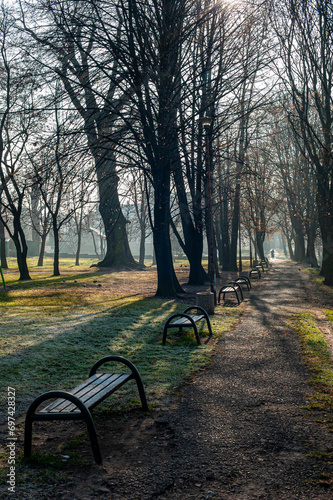 Old alleys in the park  © Maciej G. Szling