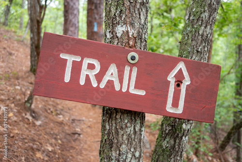 A trailhead sign and blue blaze marking along a trail through the forest