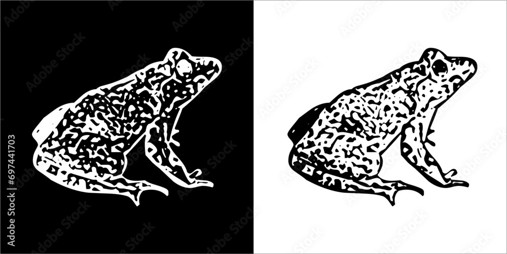 Illustration vector graphics of frog icon Illustration vector graphics of frog icon
