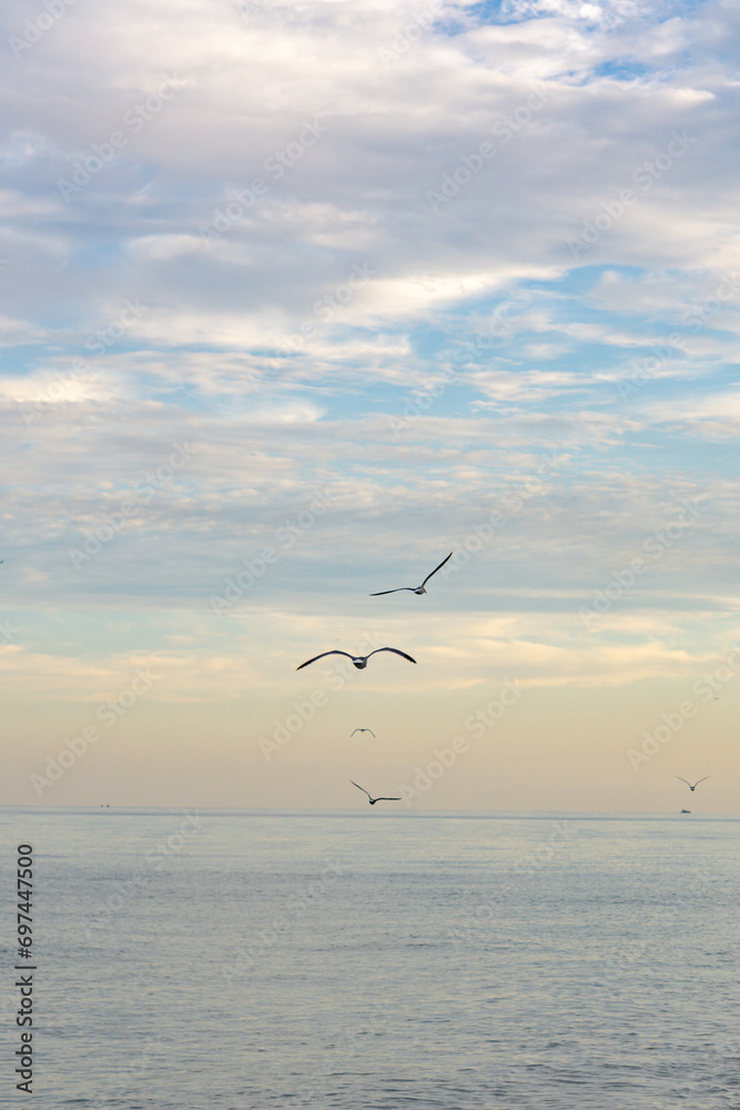 Fototapeta premium Miami Beach at sunset, beaches, sand, water and buildings