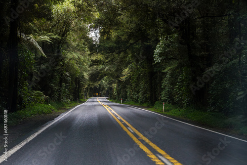 road in the woods