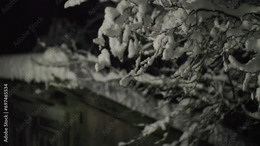 snow covered patio and trees at night in winter snow covered patio and trees at night in winter