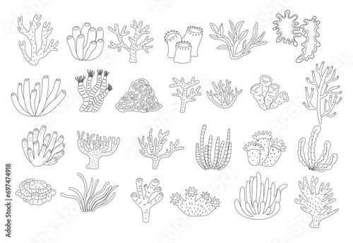 Collection of coral reefs and seaweed line art illustration for coloring page photo