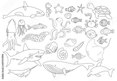 Collection of fish and sea animals line art illustration for coloring page © anggola