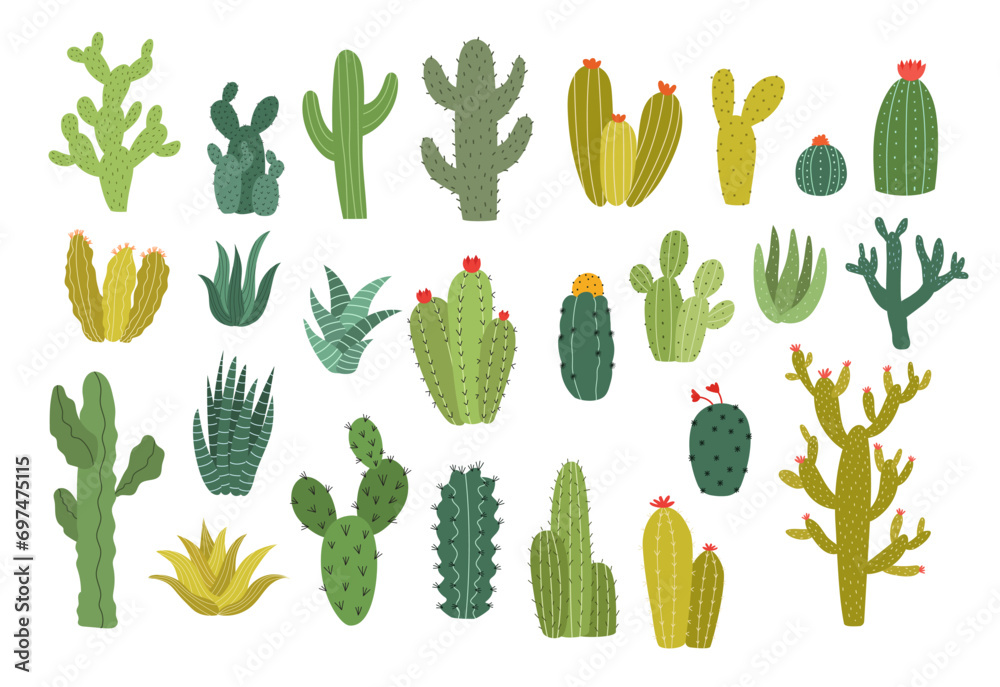 Collection of wild cactus plant vector illustration Collection of wild cactus plant vector illustration