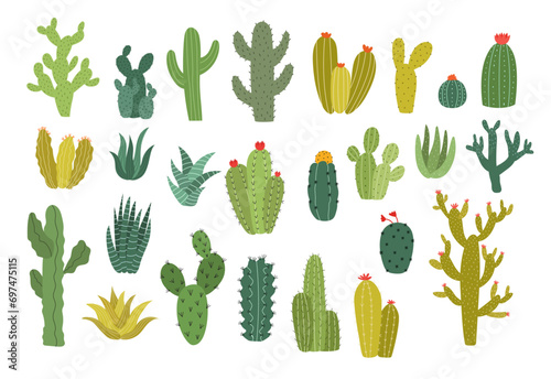 Collection of wild cactus plant vector illustration photo
